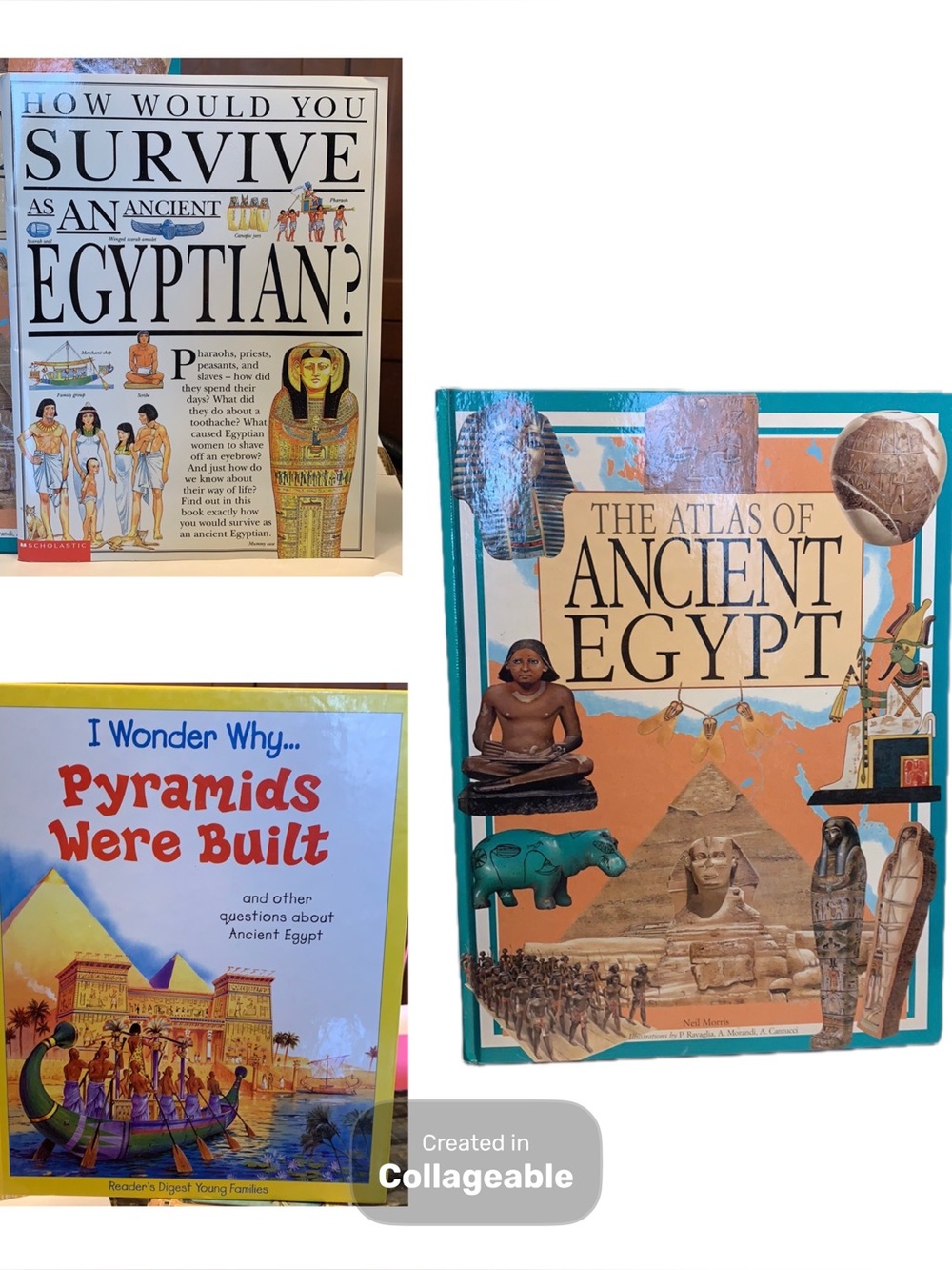 SALE!! History. Social studies. Egypt. Education. 5